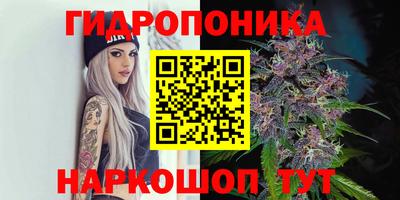ешки Новодвинск